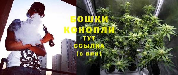 молекула духа Аркадак