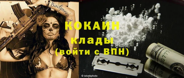 ешки Арсеньев